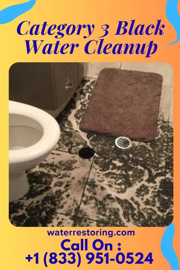 Category 3 Black Water Cleanup in Oakland, FL