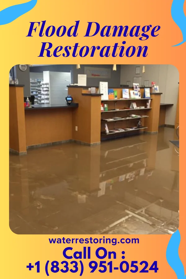 Flood Damage Restoration in Oakland, FL